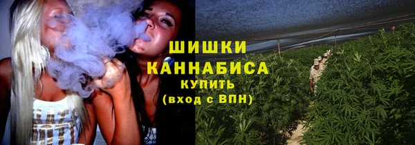 твердый Сатка