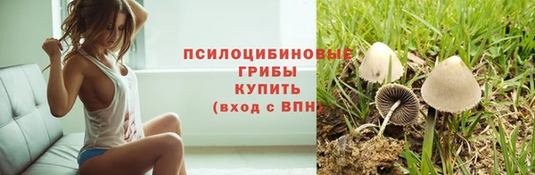 mix Аркадак