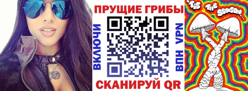 мега зеркало  Озёры  Псилоцибиновые грибы Psilocybe 