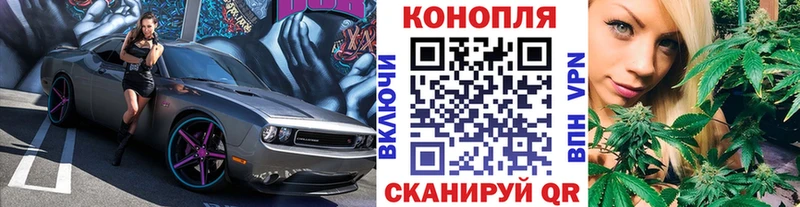 Шишки марихуана план  купить наркоту  OMG сайт  Озёры 